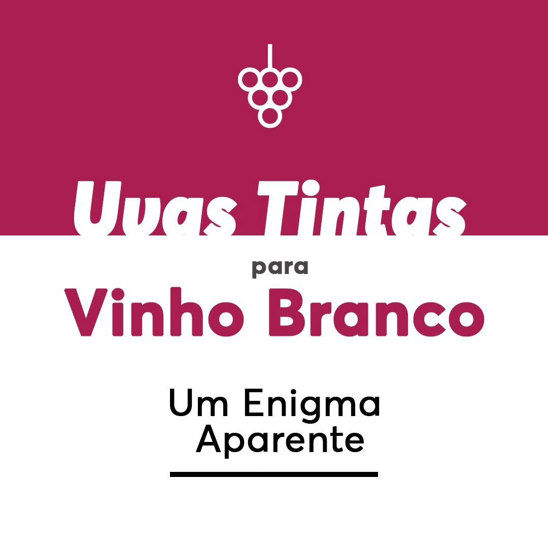Uvas tintas para vinhos brancos